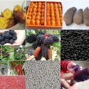 민하영농조합법인 이미지