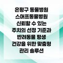 스머프동물병원 | 은평구 동물병원 스머프동물병원 신뢰할 수 있는 주치의 선정 기준과 반려동물 평생 건강을 위한 맞춤형...