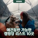온새미로서산 | 애견동반 가능한 캠핑장 리스트 10곳