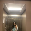 시드니시티 록스마켓 다녀오기(악어, 캥거루고기..?)