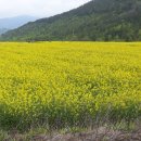 득량보건지소 이미지