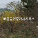 돌산읍우두출장소 이미지