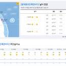 2022년 5월 24일(화요일) 12:00 현재 대한민국 날씨정보 및 기상특보 발표현황 (울릉도, 독도 포함 - 기상청발표) 이미지