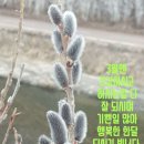 3월1일 간추린뉴스 이미지