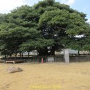 남해-299 이미지