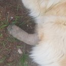 고니농장 이미지