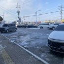 꽃삼겹이피었습니다