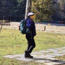 충북 ㆍ청남대 2025.11.12. 이미지