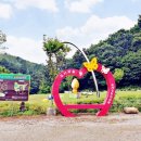 마국산둘레길 이미지