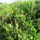 하동포구공원1 이미지