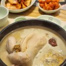 지호한방삼계탕 | 송도 몸보신 삼계탕집 [지호한방삼계탕] 후기
