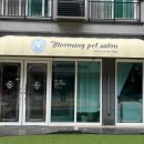 블루밍 펫 살롱 이미지