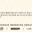 홍익리자드