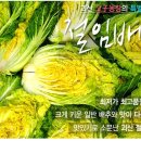 조강농장 이미지