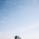 성구운수 이미지