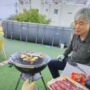 하리애견 이미지