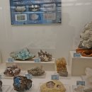 덕소자연사박물관 이미지