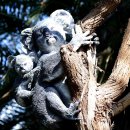 스테이오 이미지