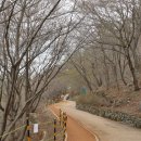 엄광산임도 이미지