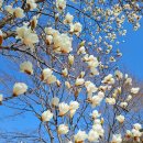 소천월가 이미지