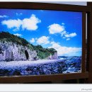 주상절리대 이미지