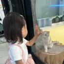 놀면묘하냥 고양이카페 이미지