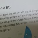 수유대학약국 이미지