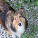 이지스힐 이미지