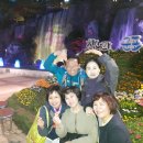 산본 철쭉동산 꽃관람 트레킹 사진 이미지