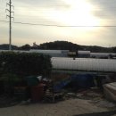 가학농장 이미지