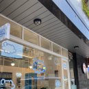 유어 그릭 이미지