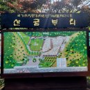 제주 D-4, 화산재 분화구 산굼부리 걷기 이미지