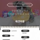 미래펫동물병원 | 반려동물학원 애견미용 펫시팅까지 배워 동물병원 취업 후기