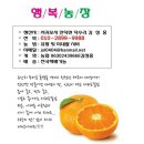 행복판매11