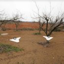 빛그린산단공인중개사사무소 이미지