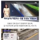 다시보는 장마인데 하수구가 역류하는 이유.jpg 이미지