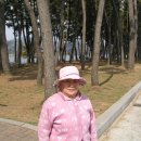 섬진강(부산) 이미지