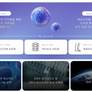 투－에스주 이미지