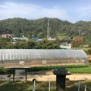 김준룡 장군 묘 및 신도비 이미지