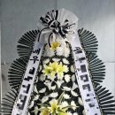 플렌케 이미지