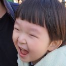 루키목장 이미지