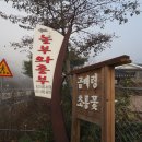 곰배령무지개펜션 이미지