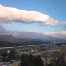 미시령통큰민물장어 이미지