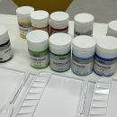 수정빌리지 이미지