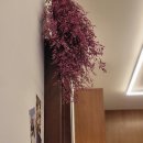 카페프리헷 파주운정점 이미지