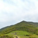 곰배령새소리 이미지