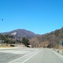 성우행정사사무소 이미지