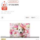 개를 위한 하루 이미지