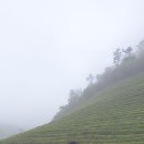 억불산민박 이미지