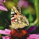 한국폴리텍 VI 대학 영주캠퍼스 이미지